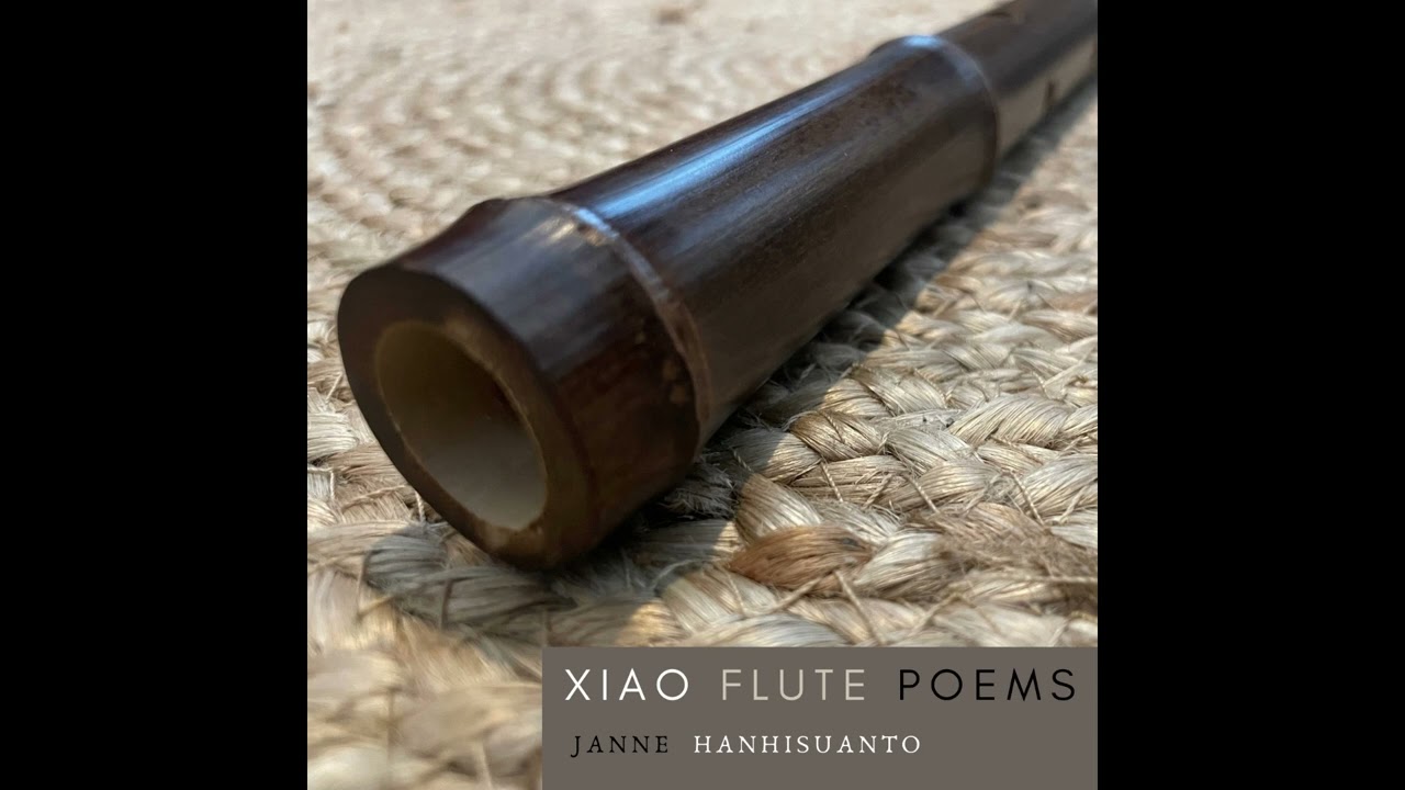 Janne Hanhisuanto - Xiao flute poems (ambient music, album)