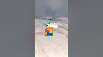 Lego ASMR | LEGO Bird | Building Blocks Creations| ASMR #asmr #asmrsounds #lego #shortvideo