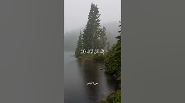 سورة النصر الشيخ علي جابر ' رحمه الله '