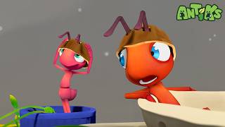 joey boo s high speed toy car race antiks wildest moments