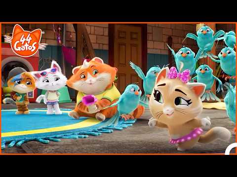 44 Gatos | Confusões Dos Buffycats: Passarinhos Bagunceiros E Muita Fome! 🤪🐾