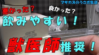 【獣医師推奨!うさぎの給水器】2週間使ってわかったメリットとデメリット４選!