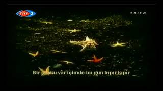 Güneşimi Kapatmayın Beton Çok Soğuk Üşüyorum. Muhsin Yazıcıoğlu