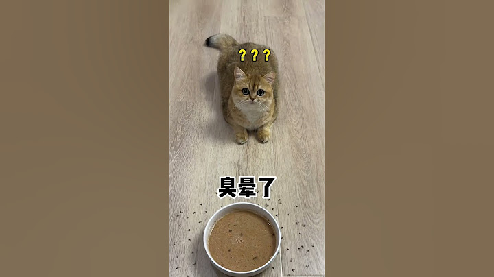【牛奶是只猫】辛苦做的猫饭他们这是几个意思