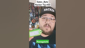 2024 hacker tip #33 pwnagotchi for wifi pwning