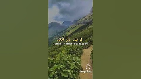 #قران_كريم #سورة_الإخلاص #تلاوة_خاشعة #واذكر_ربك_اذا_نسيت