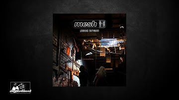 Mesh - My Protector
