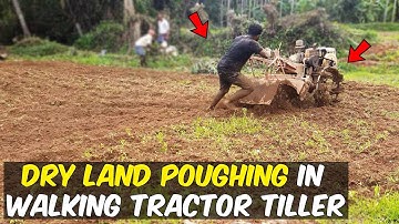 Ploughing Dry Land (paddy field) in Power Tiller Cultivator