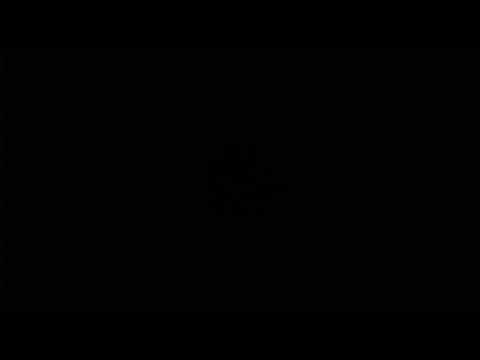 WHAT'S COVID-19/CORONA VIRUS