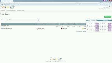 Team Member View in Talaia OpenPPM