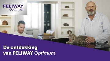 De ontdekking van FELIWAY Optimum voor katten