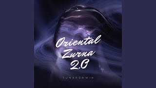 Oriental Zurna 2 Resimi