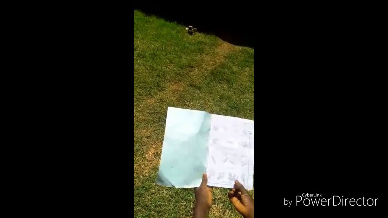 Funny kikuyu clip entertainment industry