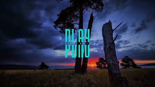 Download Lagu Cour \u0026 New Beat Order - Stereo Love (ft. Veronica Bravo \u0026 Taylor Mosley) [PlayDaniel Music] MP3