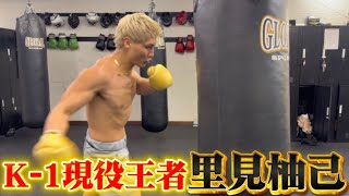 週7プロ練習をするK-1王者に最高に癒しを与えてみた