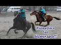 Каркырага баа бериңиздер!!! Каркыра жана Шергезы балбан.