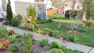 April Front Yard Garden Tour