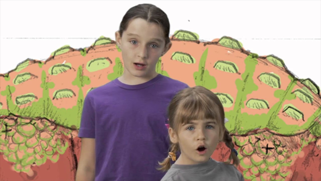 Ankylosaurus - Dinosaur Train - The Jim 