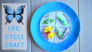 Butterfly Lifecycle Paper Plate Craft Idea: Fun Learning Activity for Kids