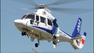 オールニッポンヘリコプター　AS365N　ユーロコプター オールニッポンヘリコプター Airbus Helicopters AS365/565