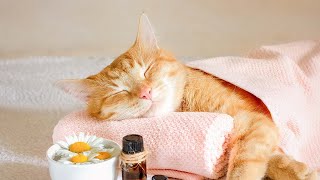 [10 hours of piano without interim ads] Emotional harp music that cats love Healing therapy screenshot 2