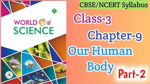 Class-3 I Our Human Body (Part-2)l Organ Systems l Science lFill in the Blanks lLearn Up With Somali