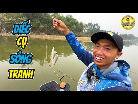 Câu Cá Diếc Cụ ở Sông Tranh - Vĩnh Phúc