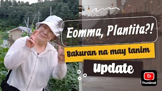 Download Lagu Update: Eomma, pinakita ang bakuran, at Plantita din pala #enforcer #ifoundmymom MP3