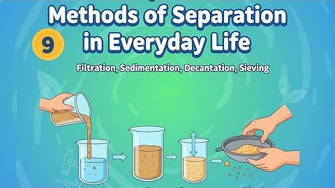 Chapter 9: Methods of Separation in Everyday Life | Class 6 Science | Complete Chapter 