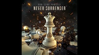 Sub Zero Project - Never Surrender (Extended Mix) Net Worth