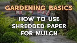 How to Use Shredded Paper for Mulch