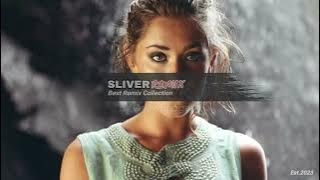 Inside The Lines 🌴 Slow Remix [ Sliver Remix™ ]