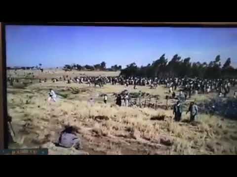 Shukkee Gafaa Xiiqii Kan Diinaaf Gadii Hin Jenne