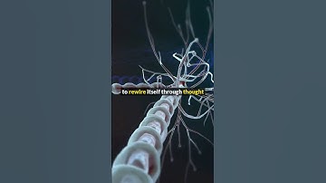 Manifestation Is a Multifaceted Phenomenon — Here’s the Science Behind It