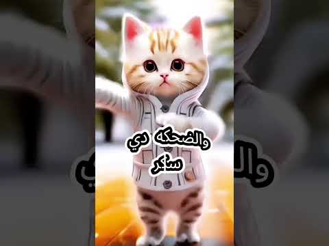 هبه يا قمر اغنيه باسم هبه