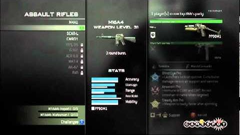 Tva™ - Modern Warfare 3 "All Assault Rifles & Sub Machine Guns"