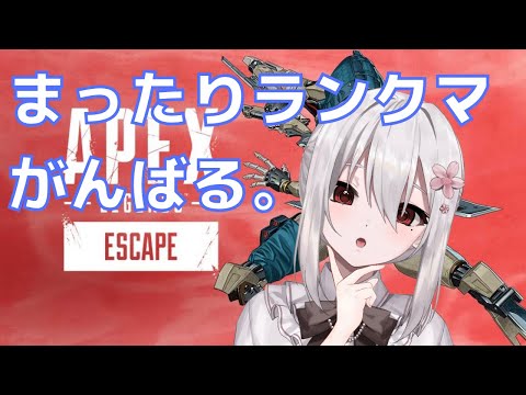 【 Apex Legends 】まったりランクマ【 Vtuber / 純白ましろ 】