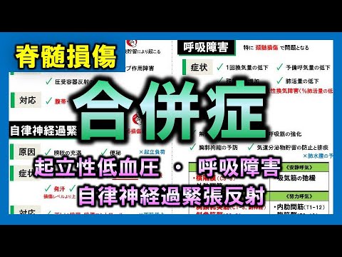 【脊髄損傷②】合併症（起立性低血圧・自律神経過緊張反射・呼吸障害）【理学療法士・作業療法士】