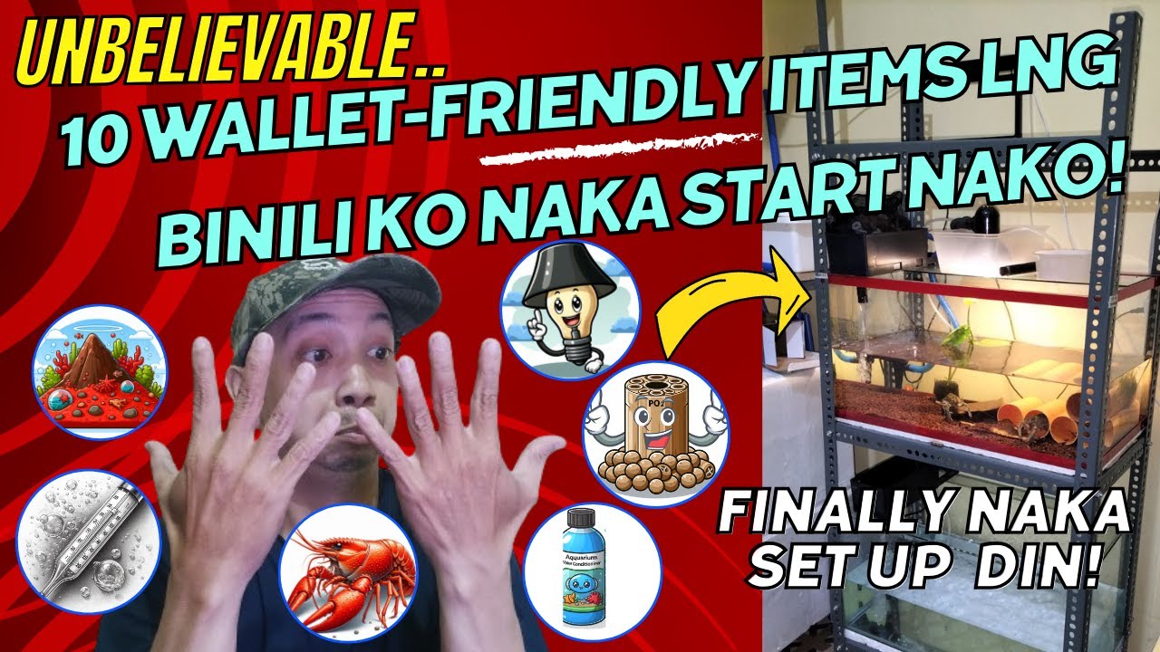 10 Things Purchased Tipid Tips Crayfish Breeding Setup sa Roomyard ko! Budget-Friendly Essentials!