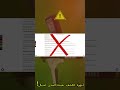 كاشف الذهب | عملية احتيال جهاز Titan GER 1000 من UIG Detectors