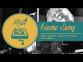 Frank Sinatra Electro Swing