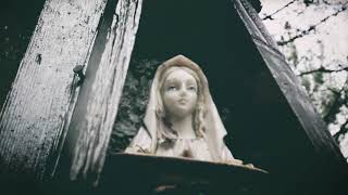 Mosquito Man Trailer 2019