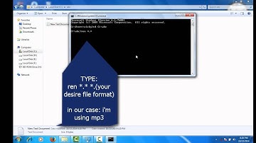 How to change file format through cmd