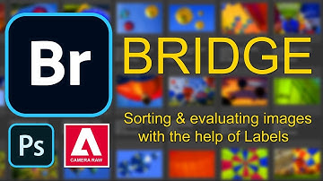 Bridge 002 - Sorting and Evaluating using Labels