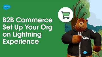 Set Up Your Org on Lightning Experience | B2B Commerce