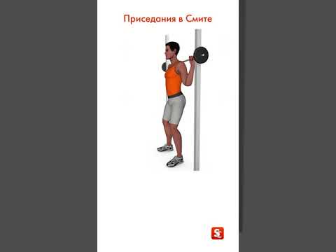 Приседания в Смите