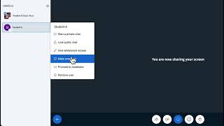 Workaround for screen sharing not stopping
