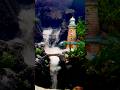 Mini Waterfall Aquarium 🌊✨ Stunning Lighthouse Aquascape Setup” #fish #aquarium #kolathur