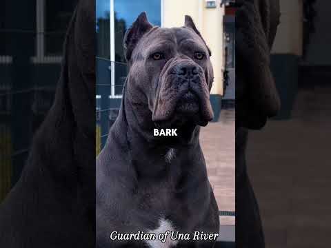 Let me introduce