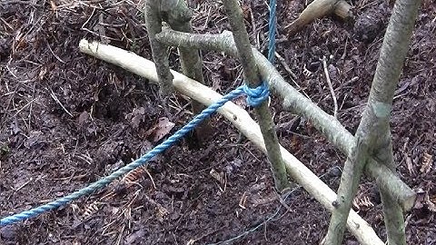 HOW TO MAKE THE ULTIMATE SNARE TRAP